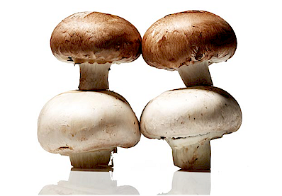 mushrooms.png (116713 bytes)