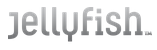 jellyfish-logo.png (6026 bytes)
